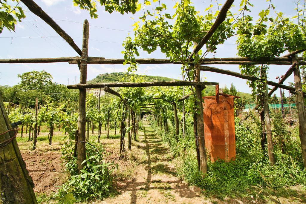 Vila Agriturismo La Chiana Vico Equense Exteriér fotografie