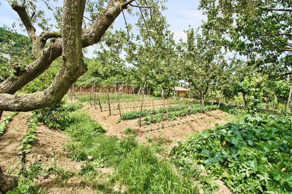 Vila Agriturismo La Chiana Vico Equense Exteriér fotografie