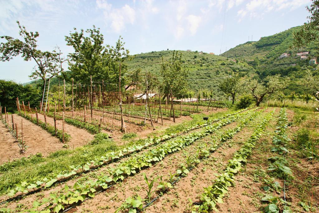 Vila Agriturismo La Chiana Vico Equense Exteriér fotografie